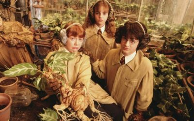 Harry Potter djecu uči kako biti otvoreniji i tolerantniji