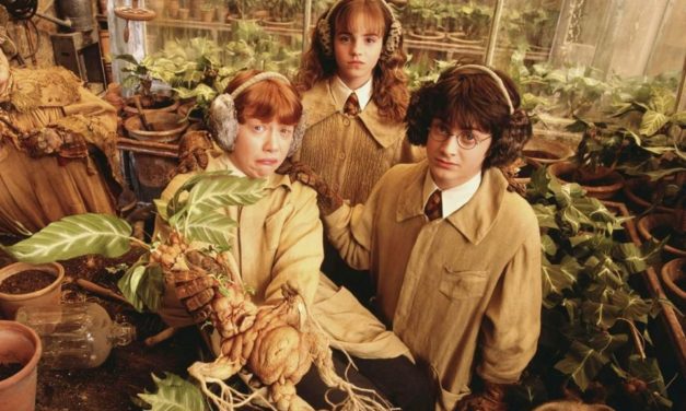 Harry Potter djecu uči kako biti otvoreniji i tolerantniji